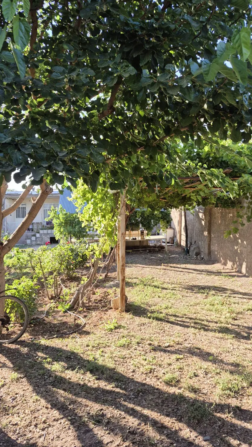 باغ میوه و زمین کشاورزی