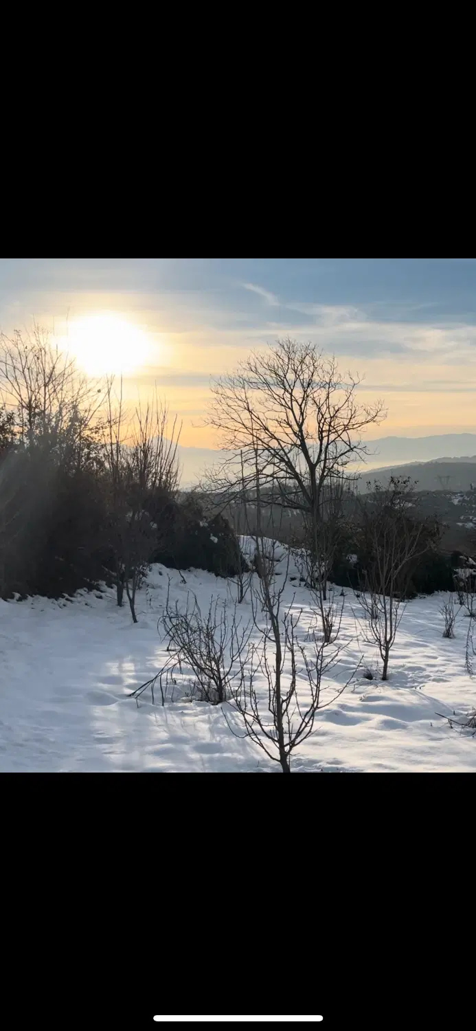 زمین باغی