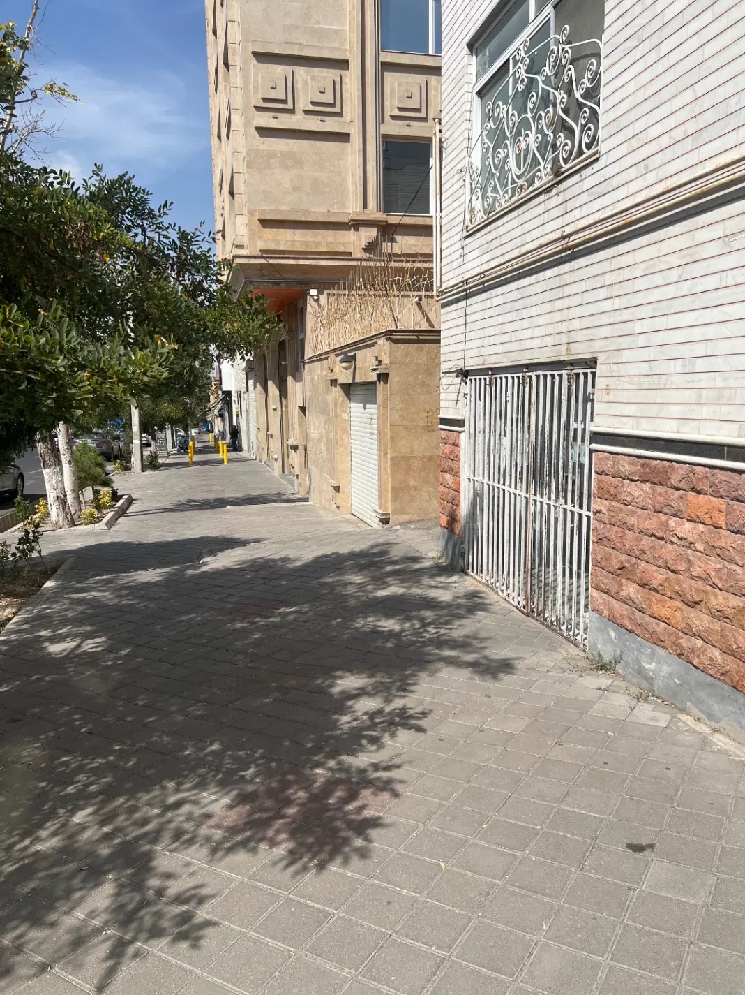 مغازه