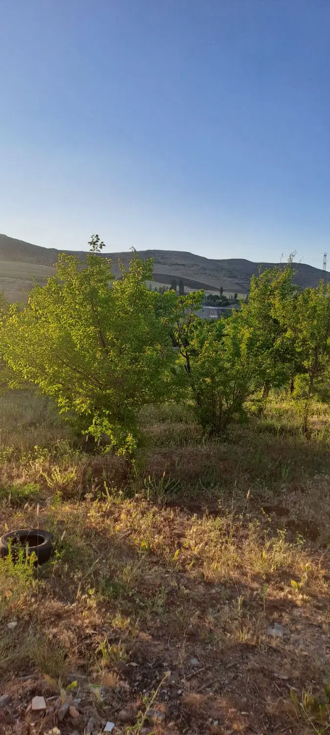 فروش زمین کشاورزی در گردنه صلوات‌آباد