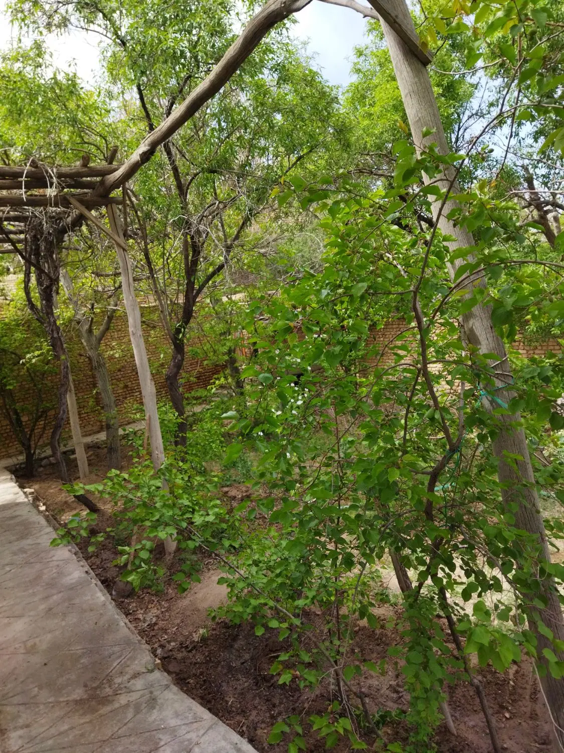 خانه باغ طزرجان