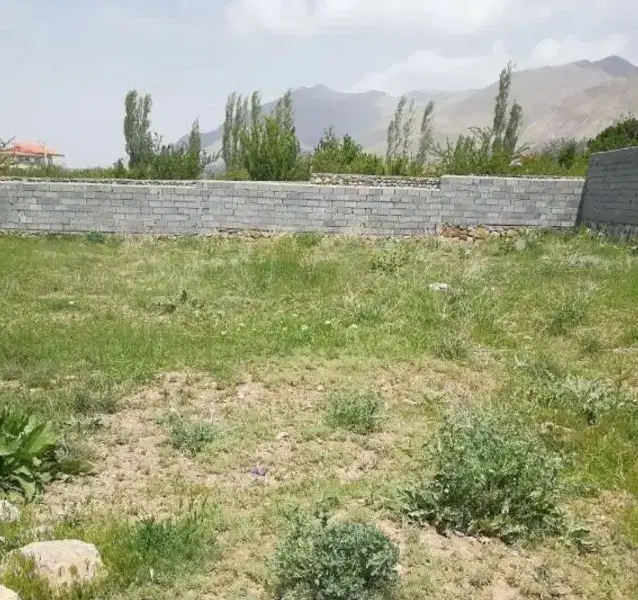 زمین