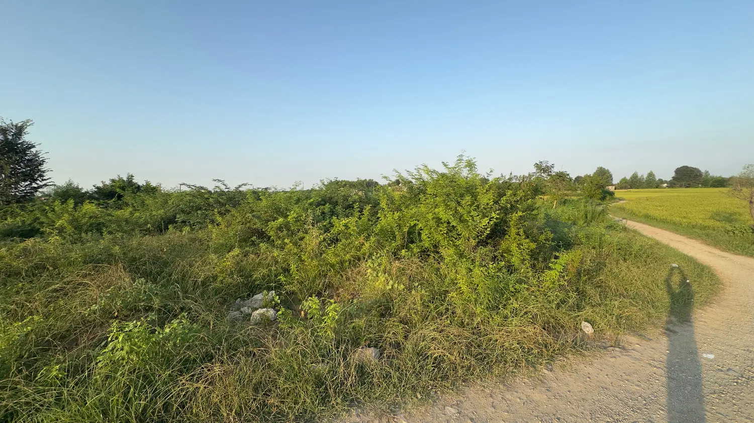 270 متر زمین مسکونی