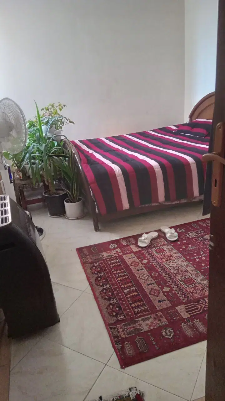 فروشی _ فلاحی _۹۳ متر _ شمالی _نورگیر