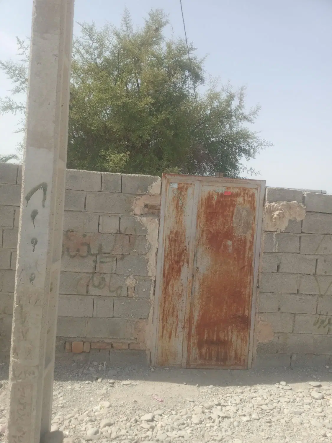 علی آباد ابوذر ۲ نخل پنج کنار مسجد رسولله
