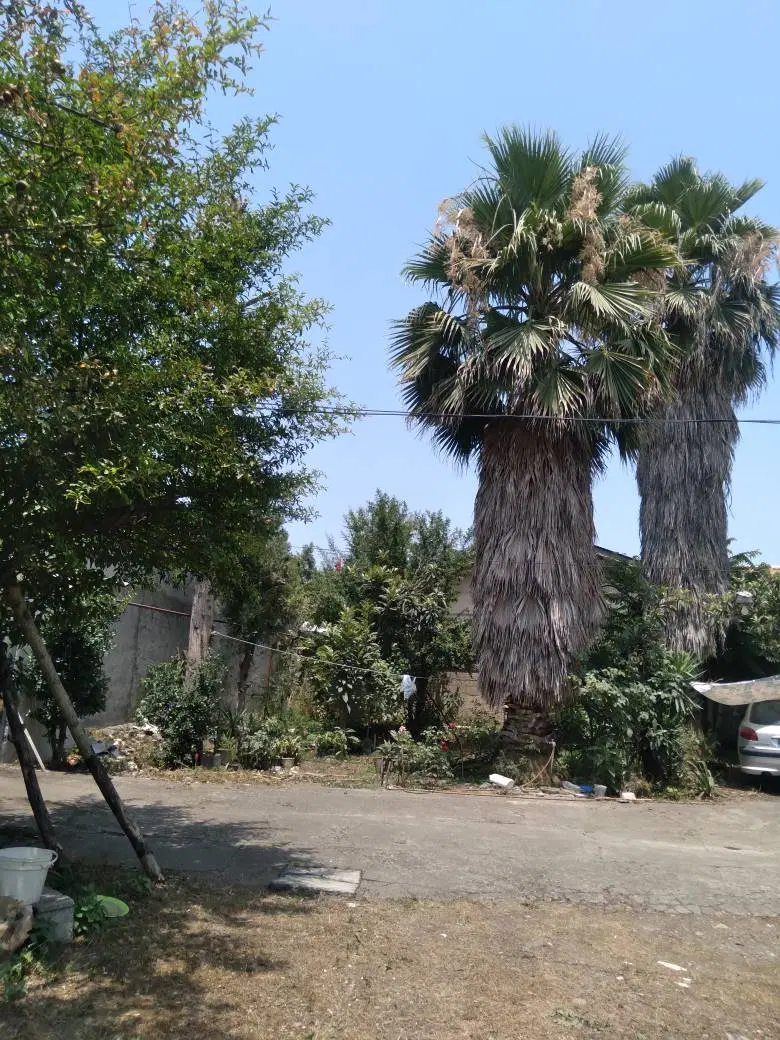 منزل ویلایی در شمال