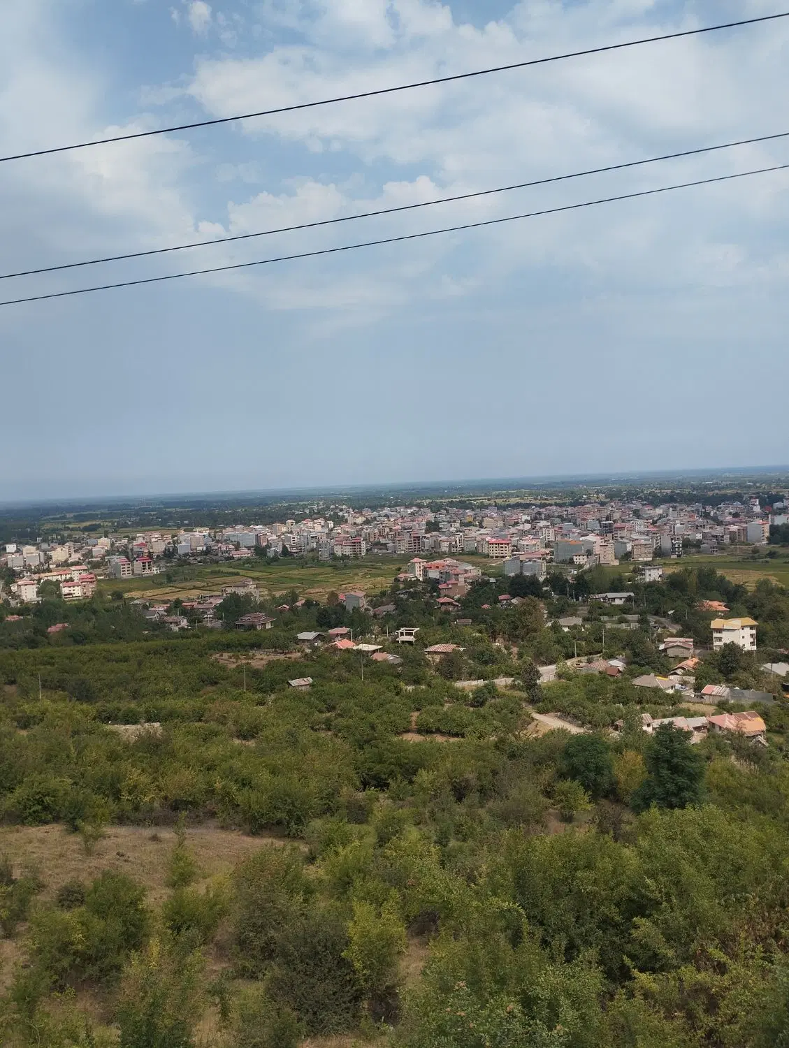 زمین