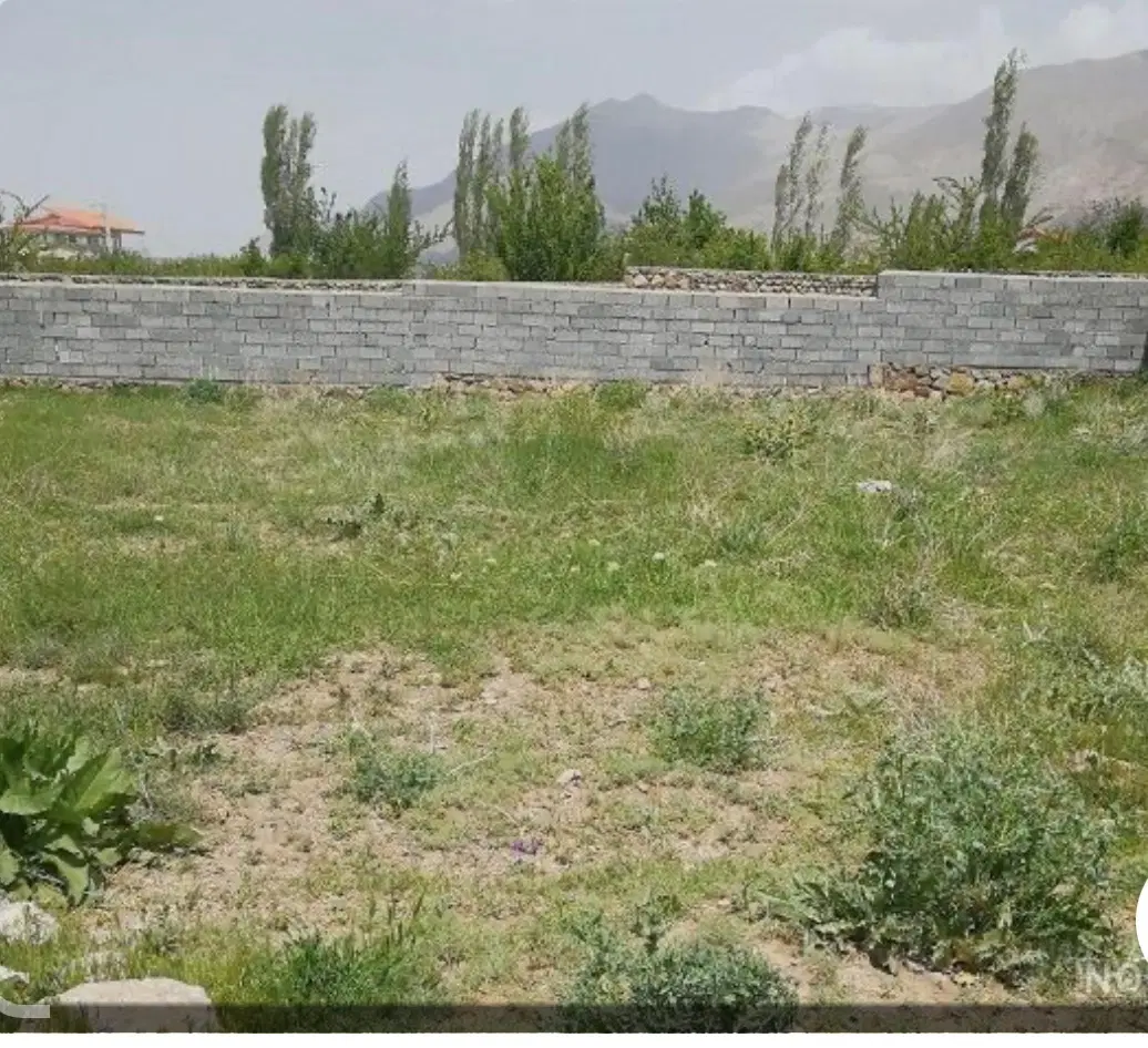 زمین