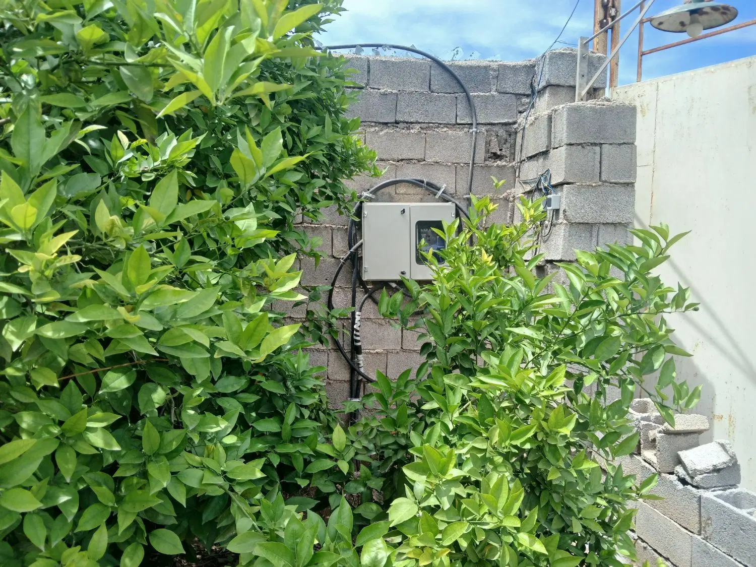 باغچه ۶ هزار متر دزفول متراژ دلخواه  اقساط ۶ماهه