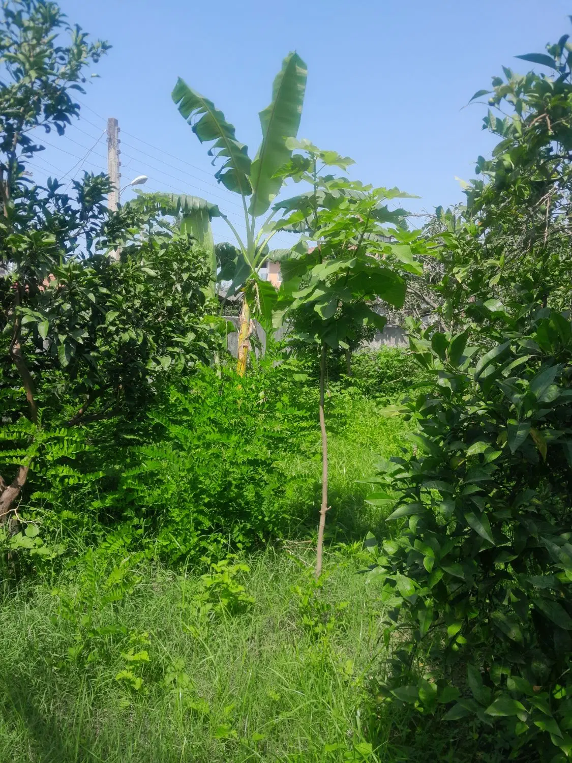 زمین ۹۰متری واقع درمهرشهرکرج