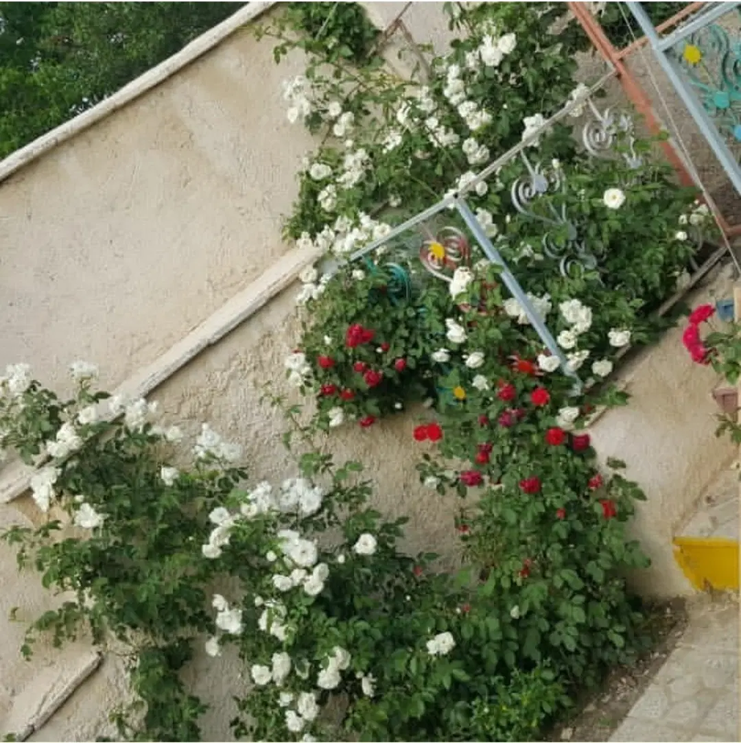 فروش خانه ویلایی