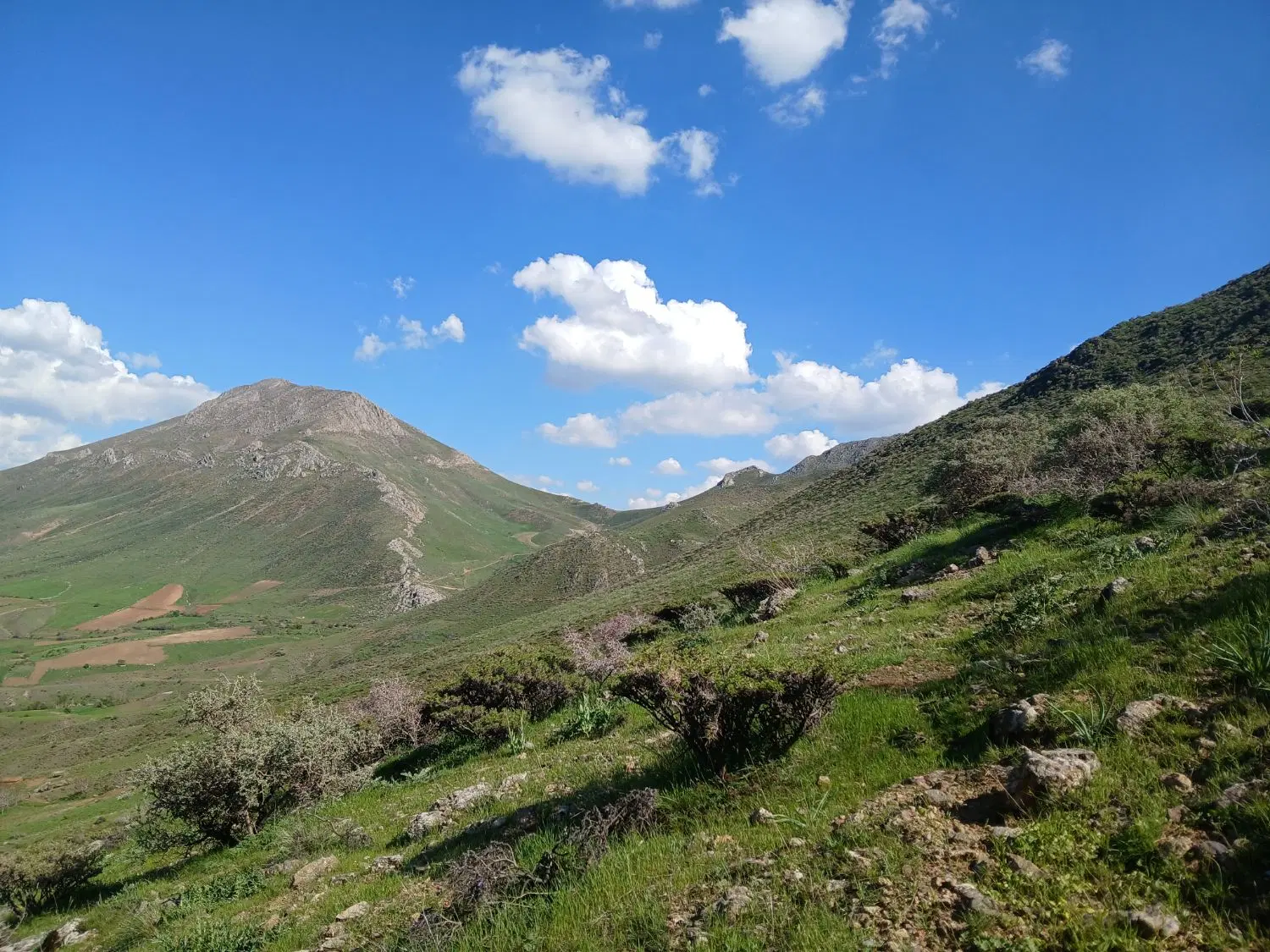 زمین اجاره ای کشاورزی