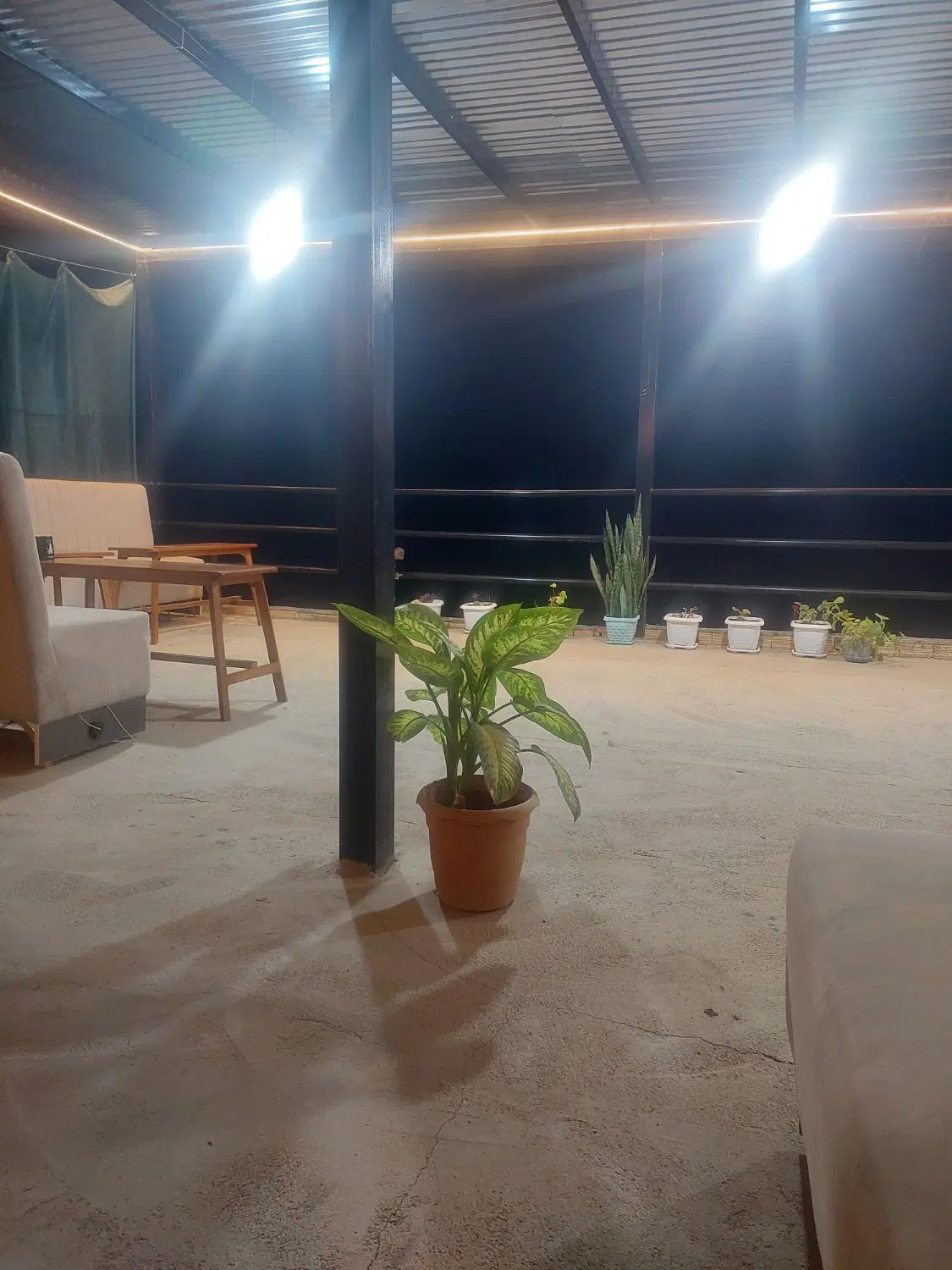 اجاره خانه  همخونه