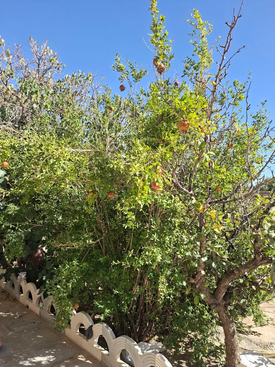 فروش خانه ویلایی