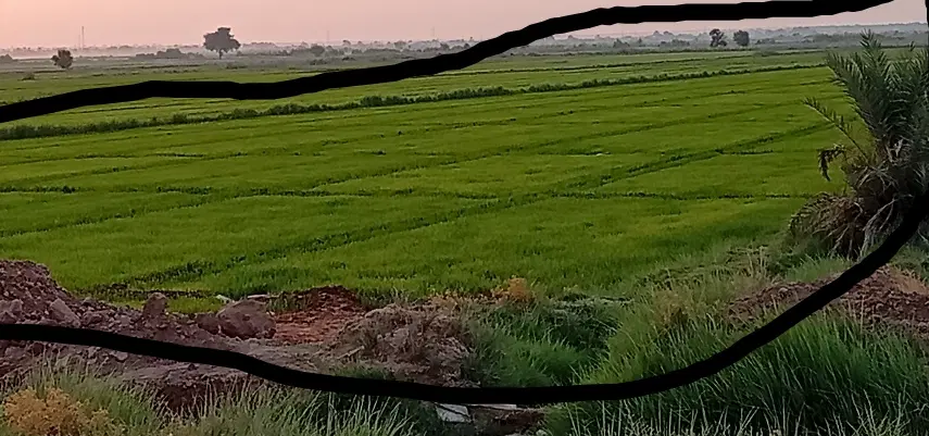 زمین درحمیدیه