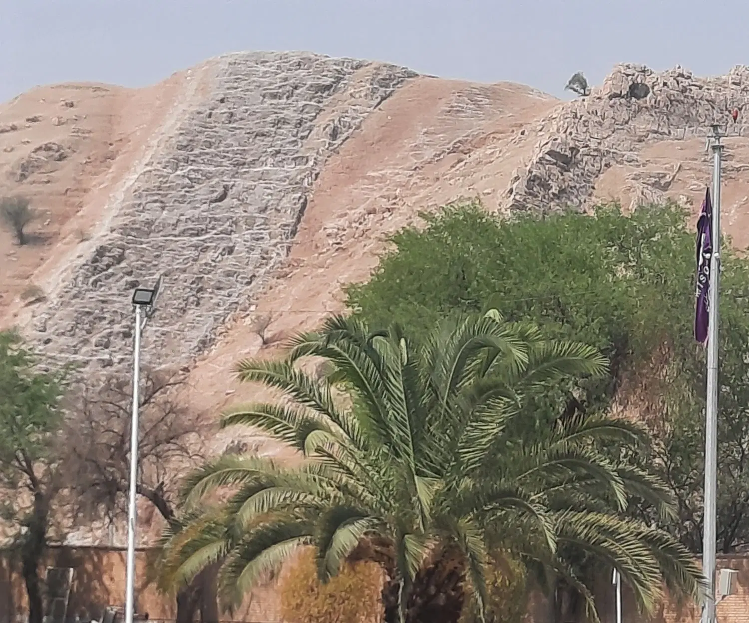 زمین