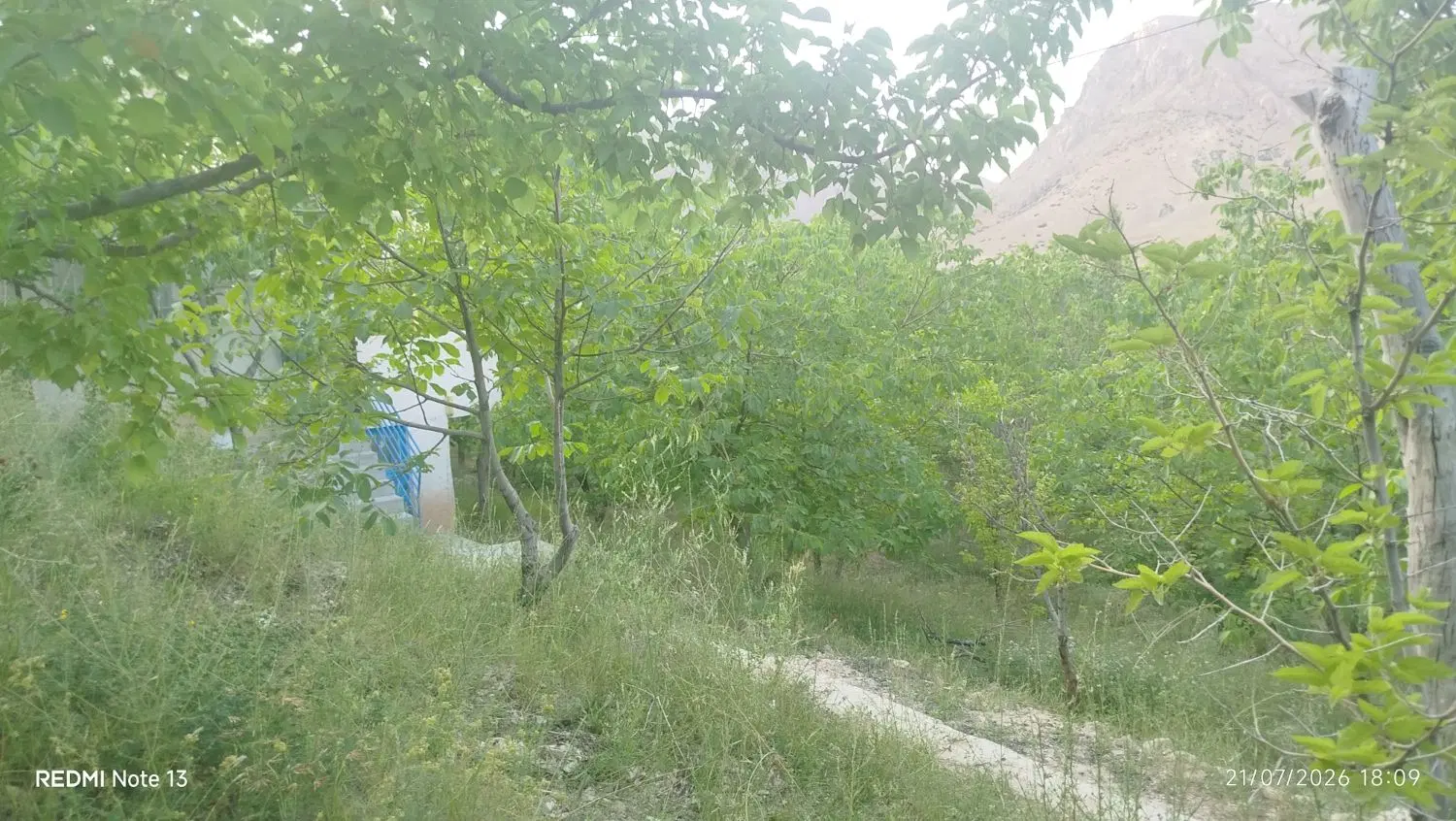 باغ با ۳۰ متر بنا در تنگه واشی