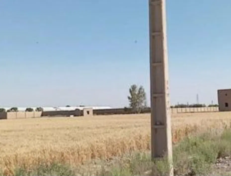 دو قطعه زمین در بر جاده جواد آباد ورامین