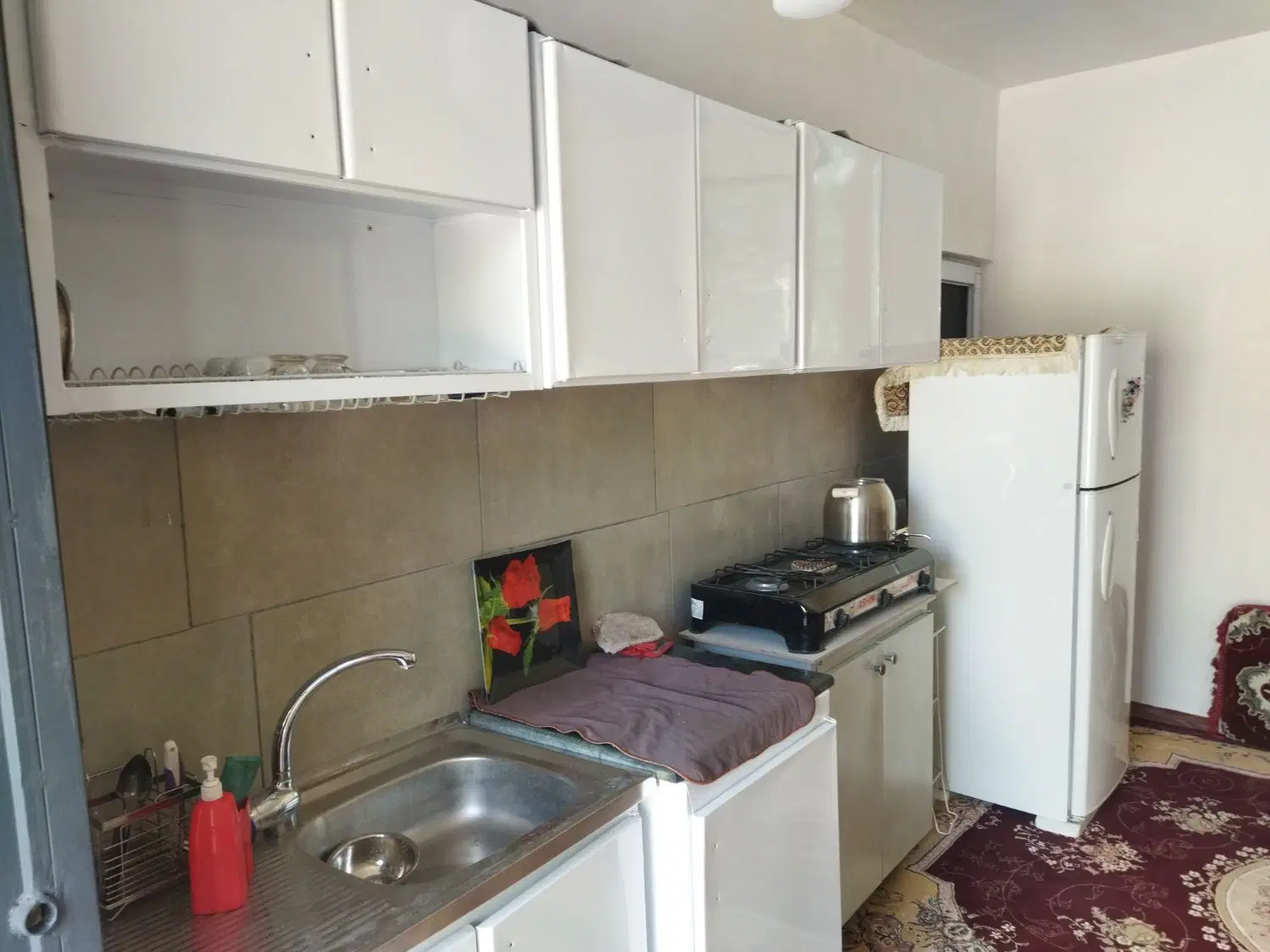 سوییت اجاره ای (ویلا باغ)