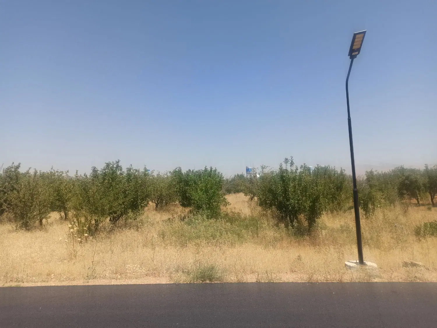 باغ شهر ۱۰۰۰ متری قصر فیروزه هماشهر