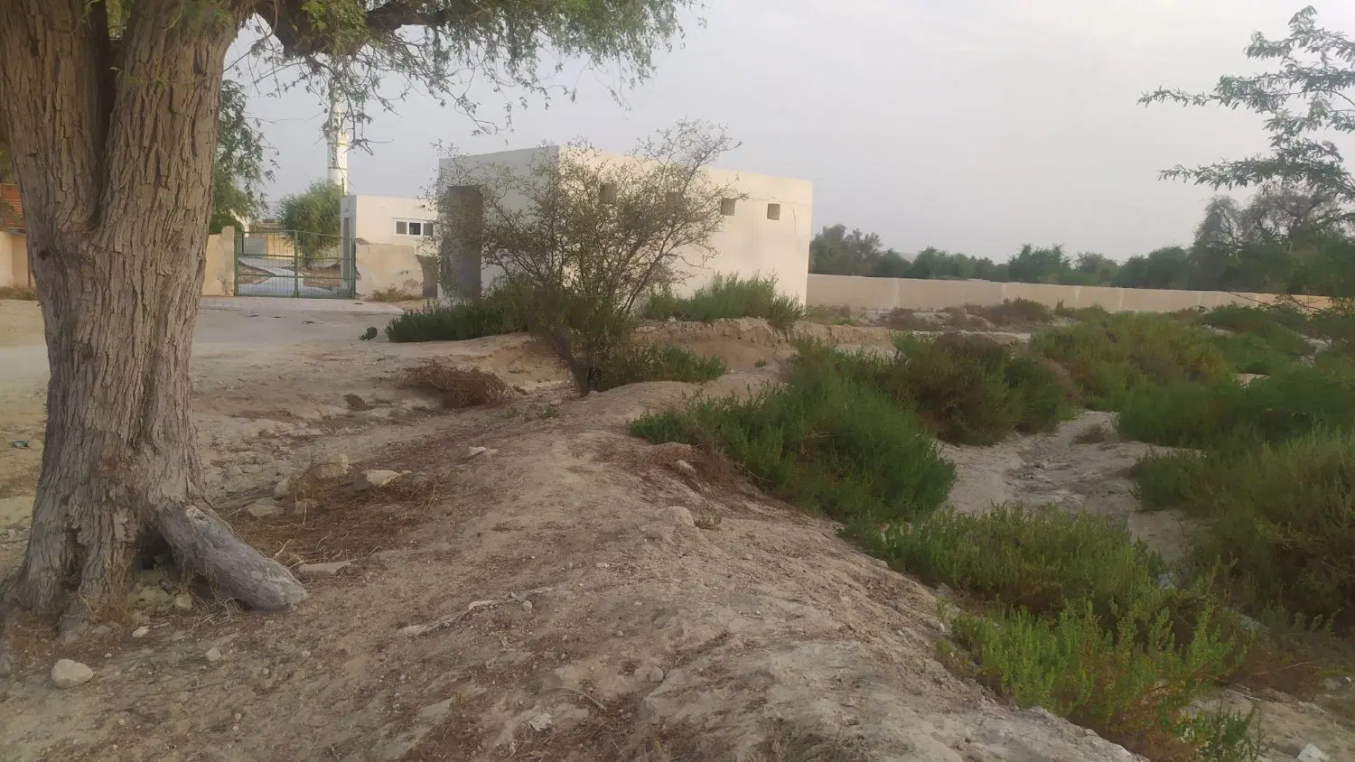 زمین 420 متر دو بر کوشه