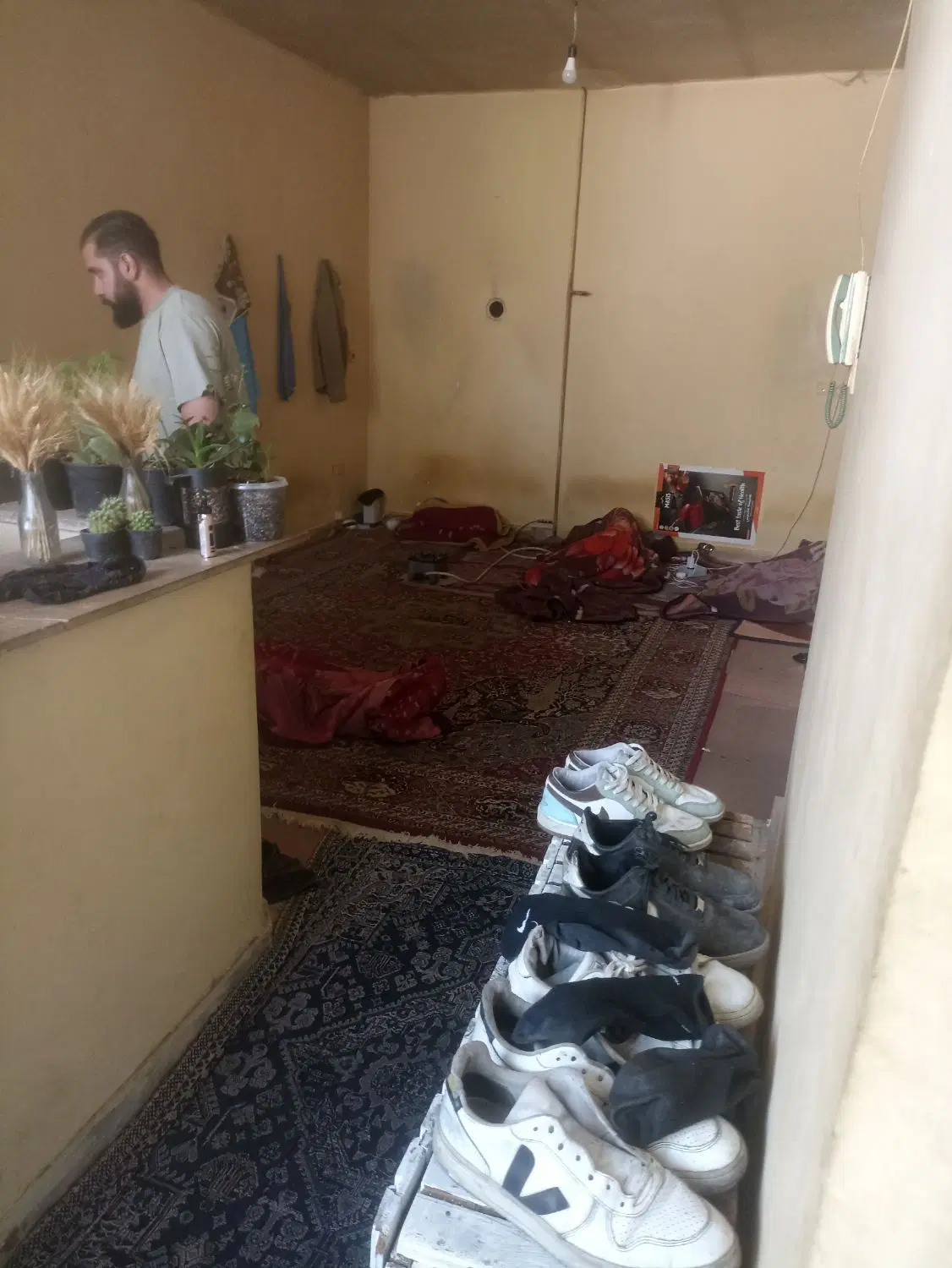 پانسیون اقایان
