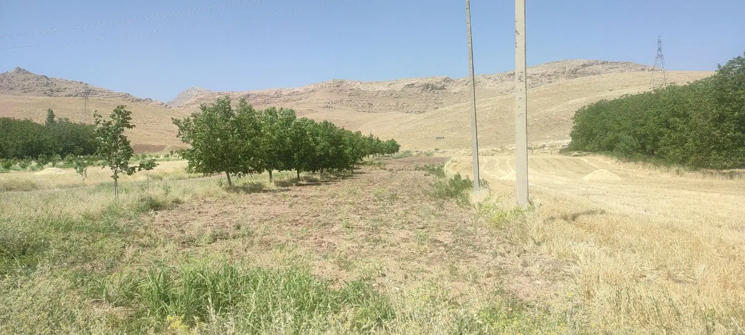 باغ به متراژ 1700متر مربع