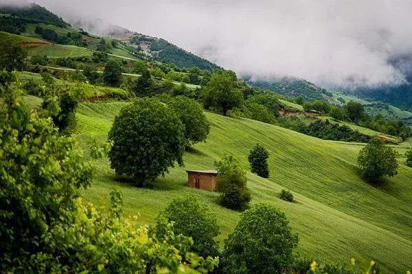 زمین همراه با کاربری