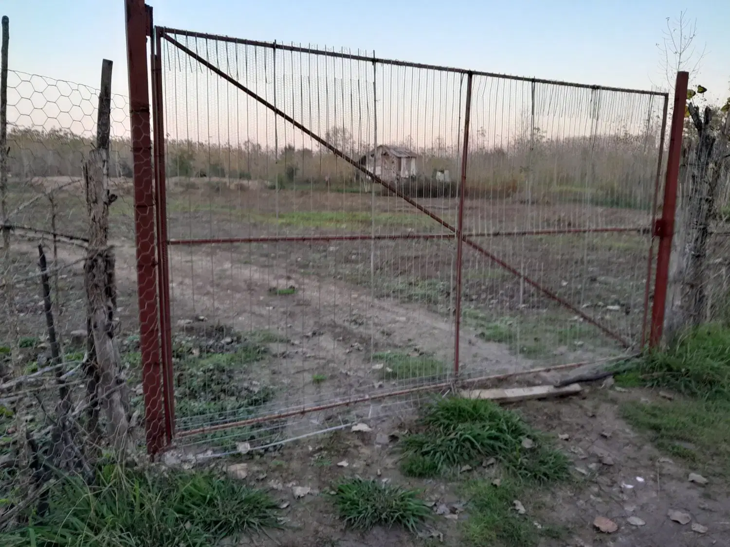زمین باغی