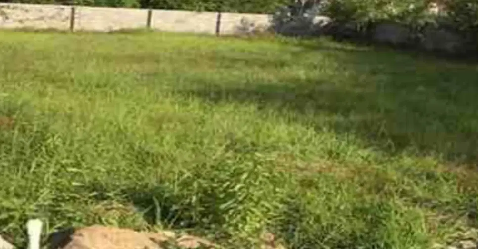 یک قطعه زمین