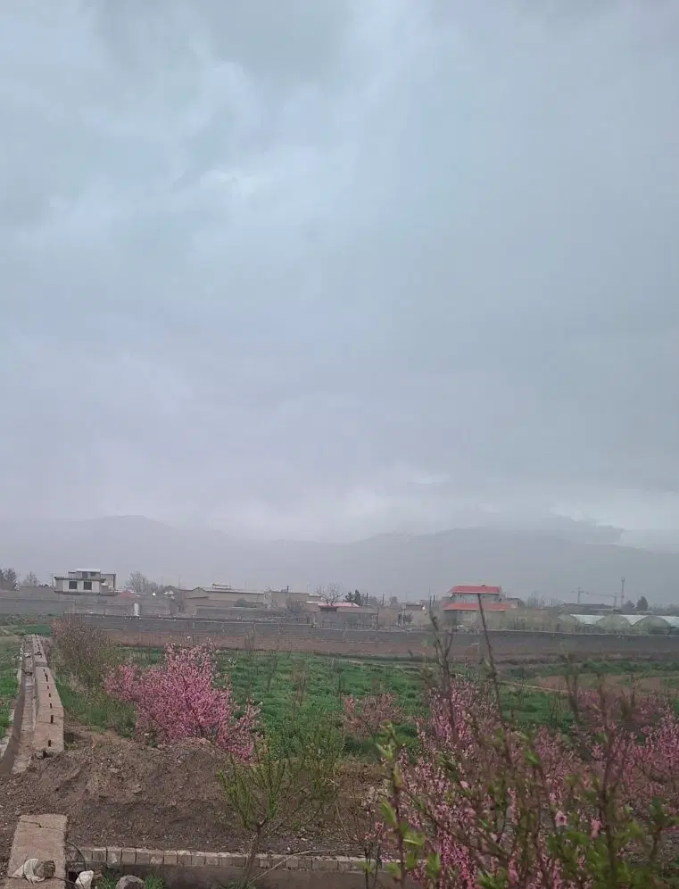 فروش باغ_فرصت خرید_