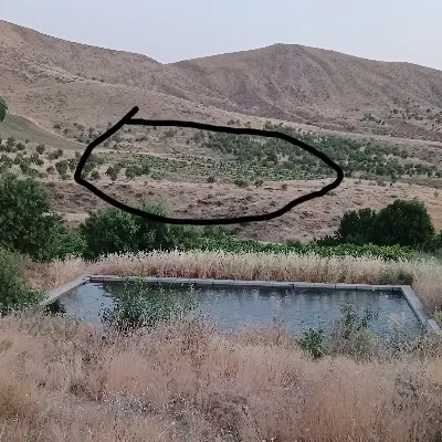 باغ