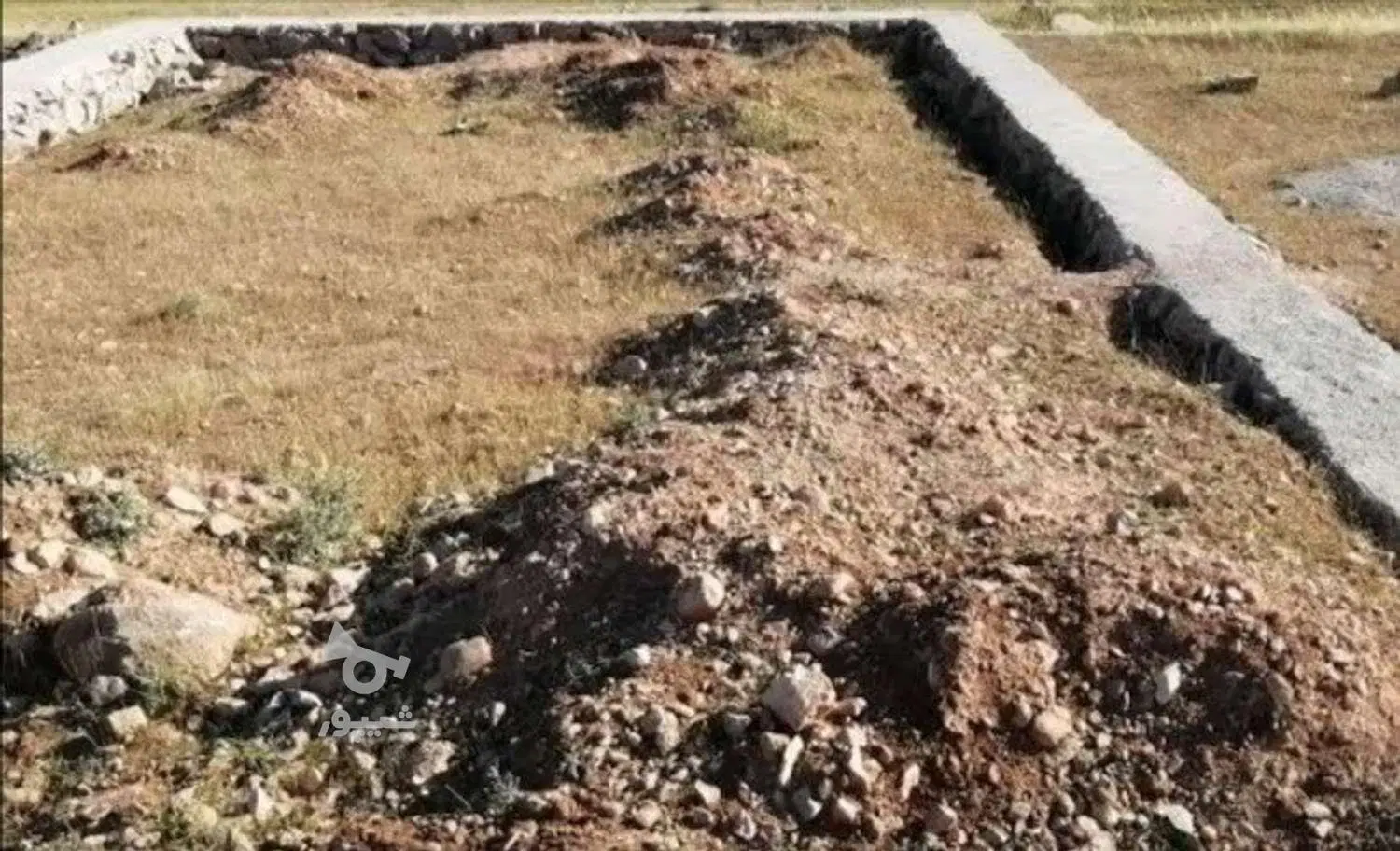 زمین کلنگی
