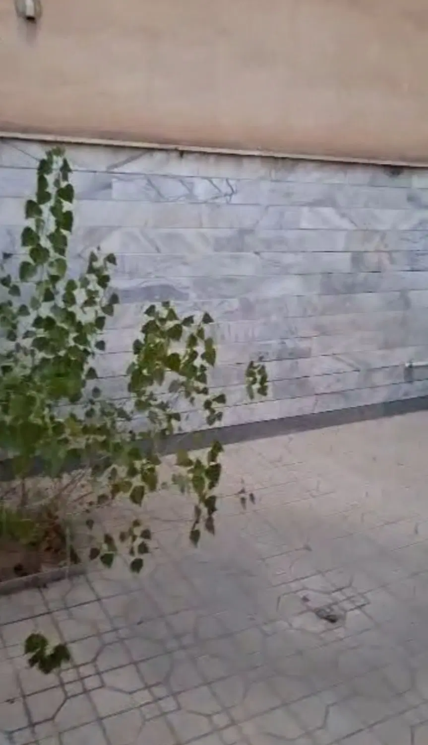 ۱۵۶متر شمالی سنددار بنیاد ۲۲ بهمن جنوبی