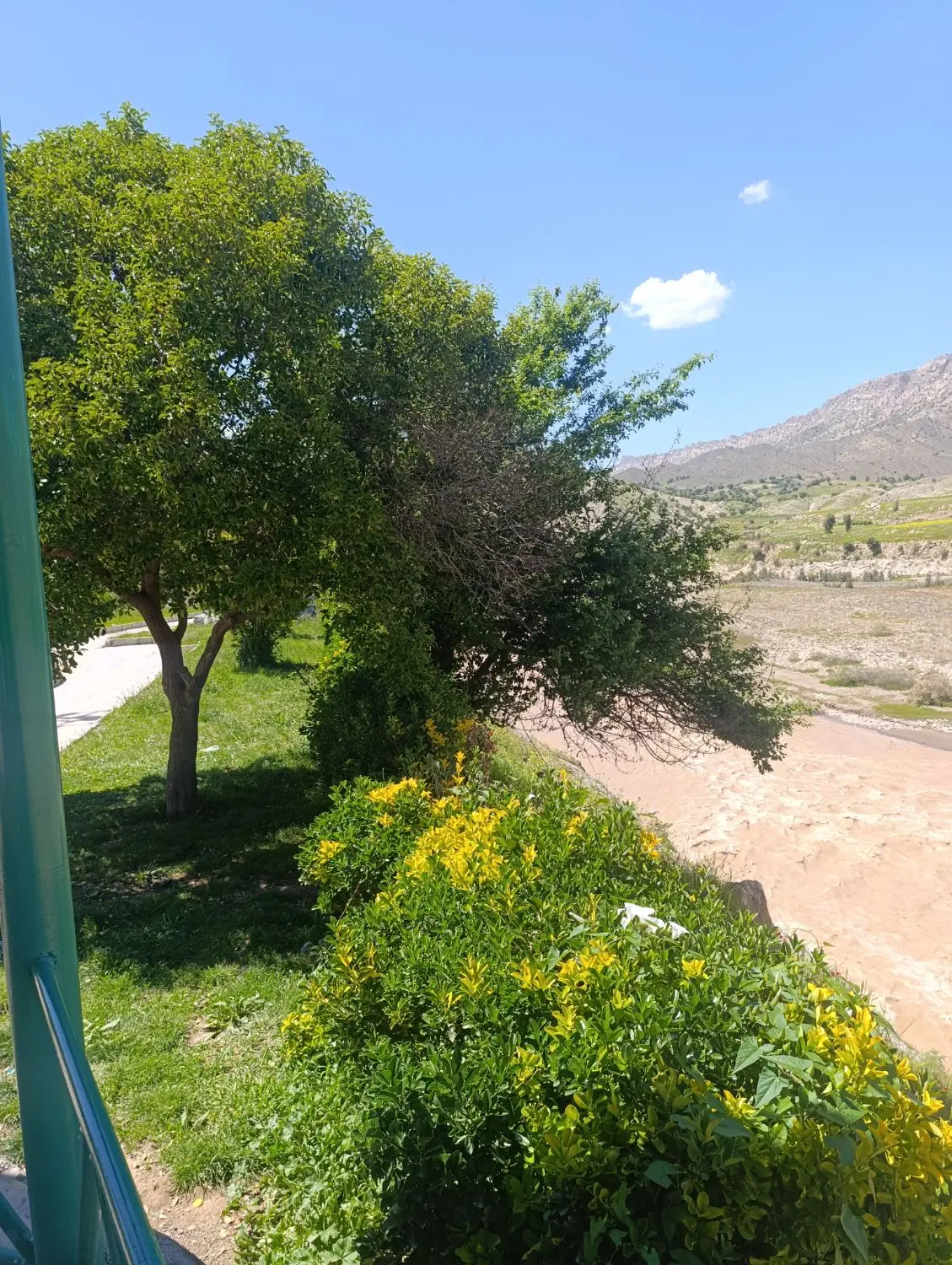 زمین مسکونی کاوه کالی