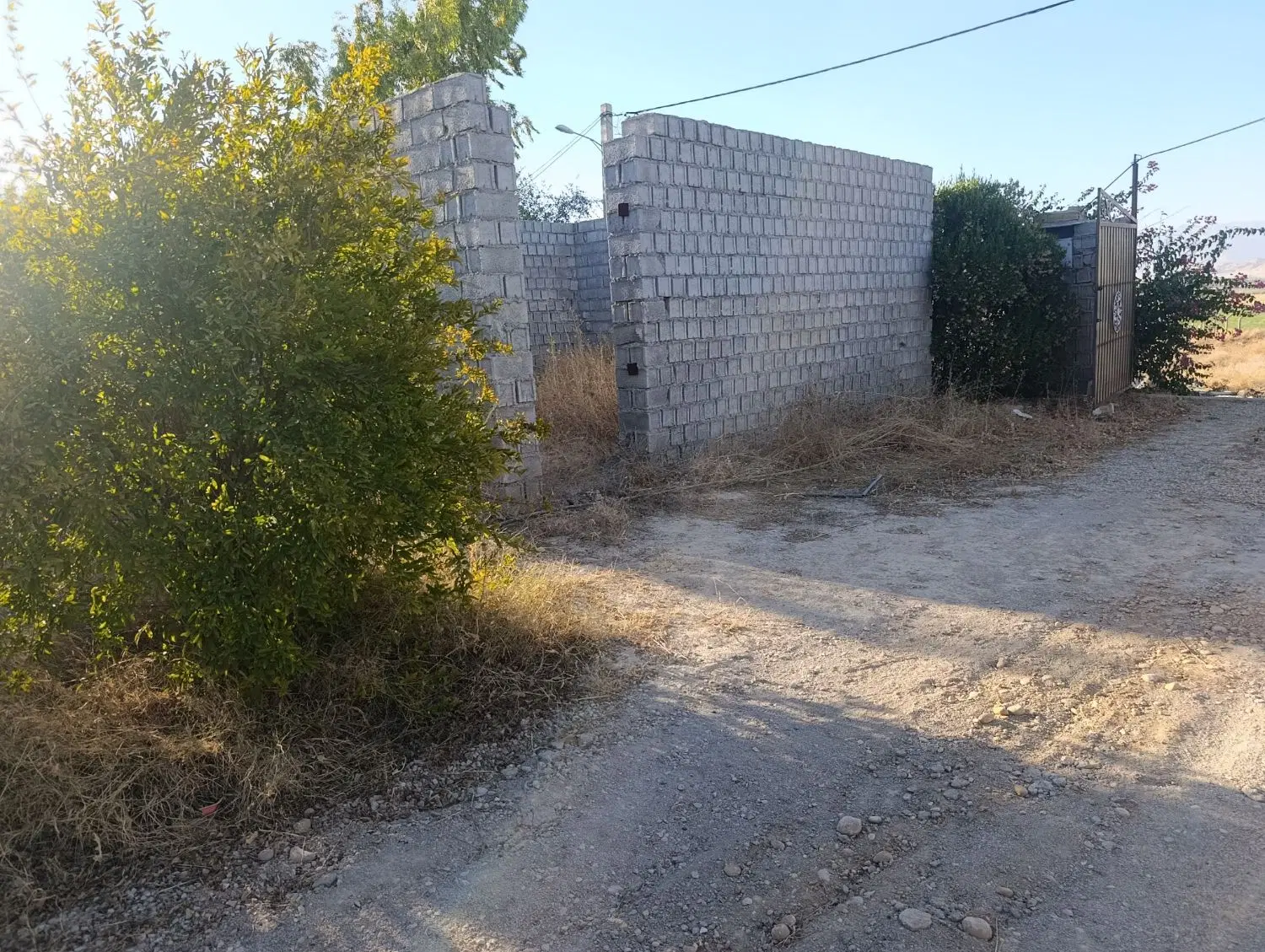 زمین باغی 1000 متر جاده لاسبید