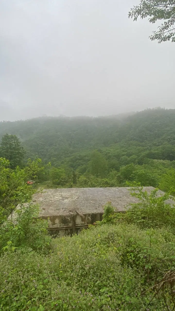 خانه باغ ویلا