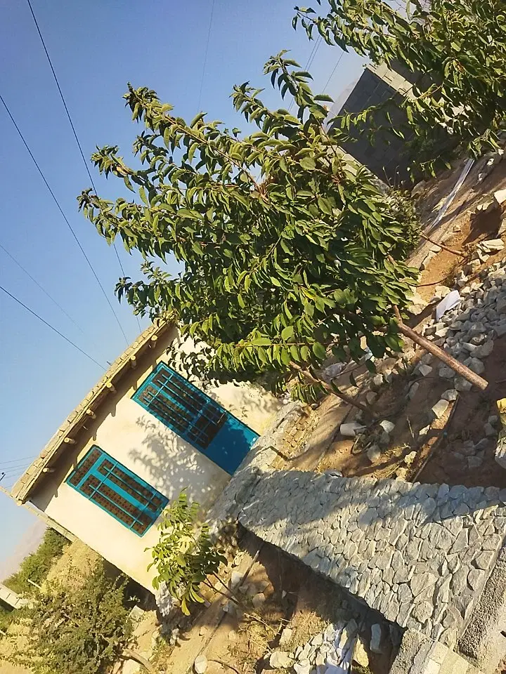 باغ ویلا