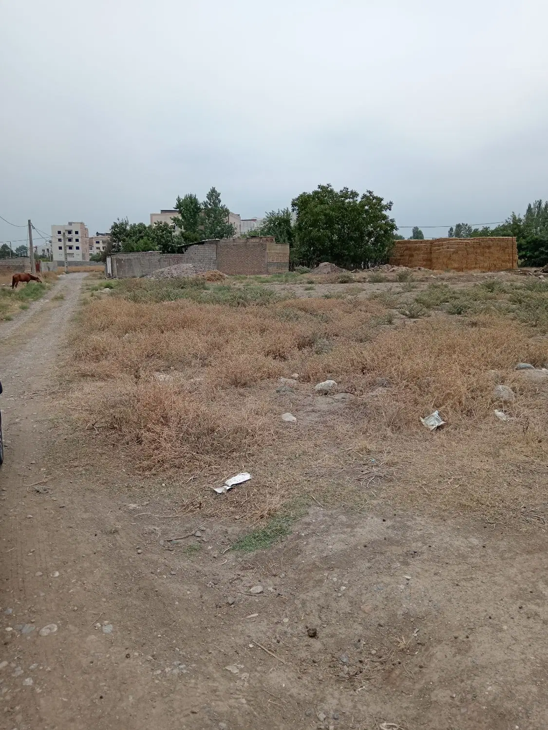 زمین مسکونی