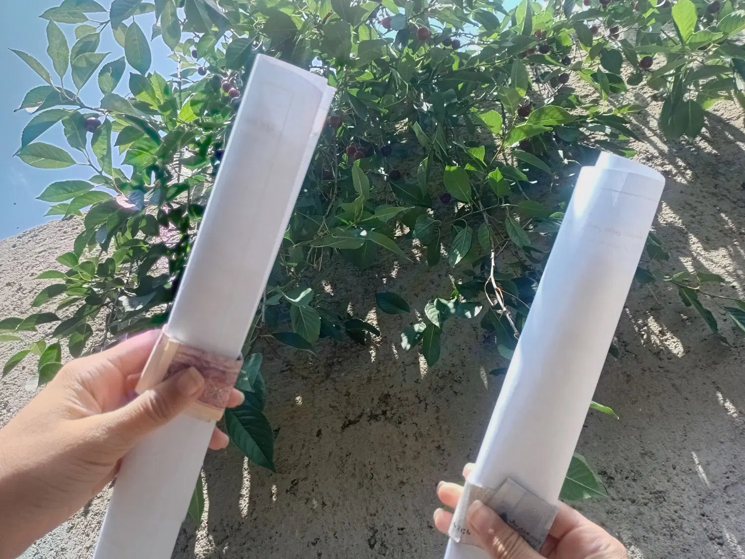 اجاره  خانه