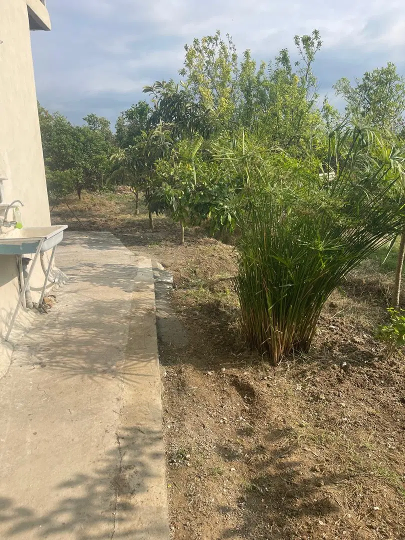 باغ دارای ویلای ساری فرح آباد دینک
