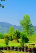 ملک 6000 متری شمال برای شهرک‌و ویلاسازی