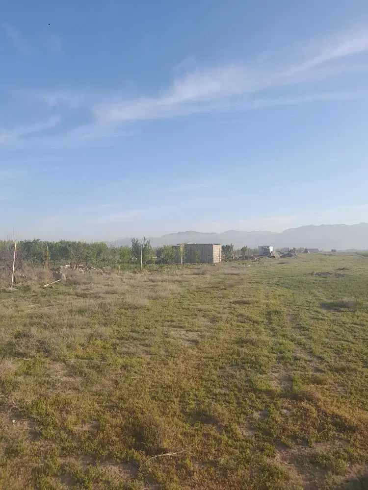 زمین کشاورزی