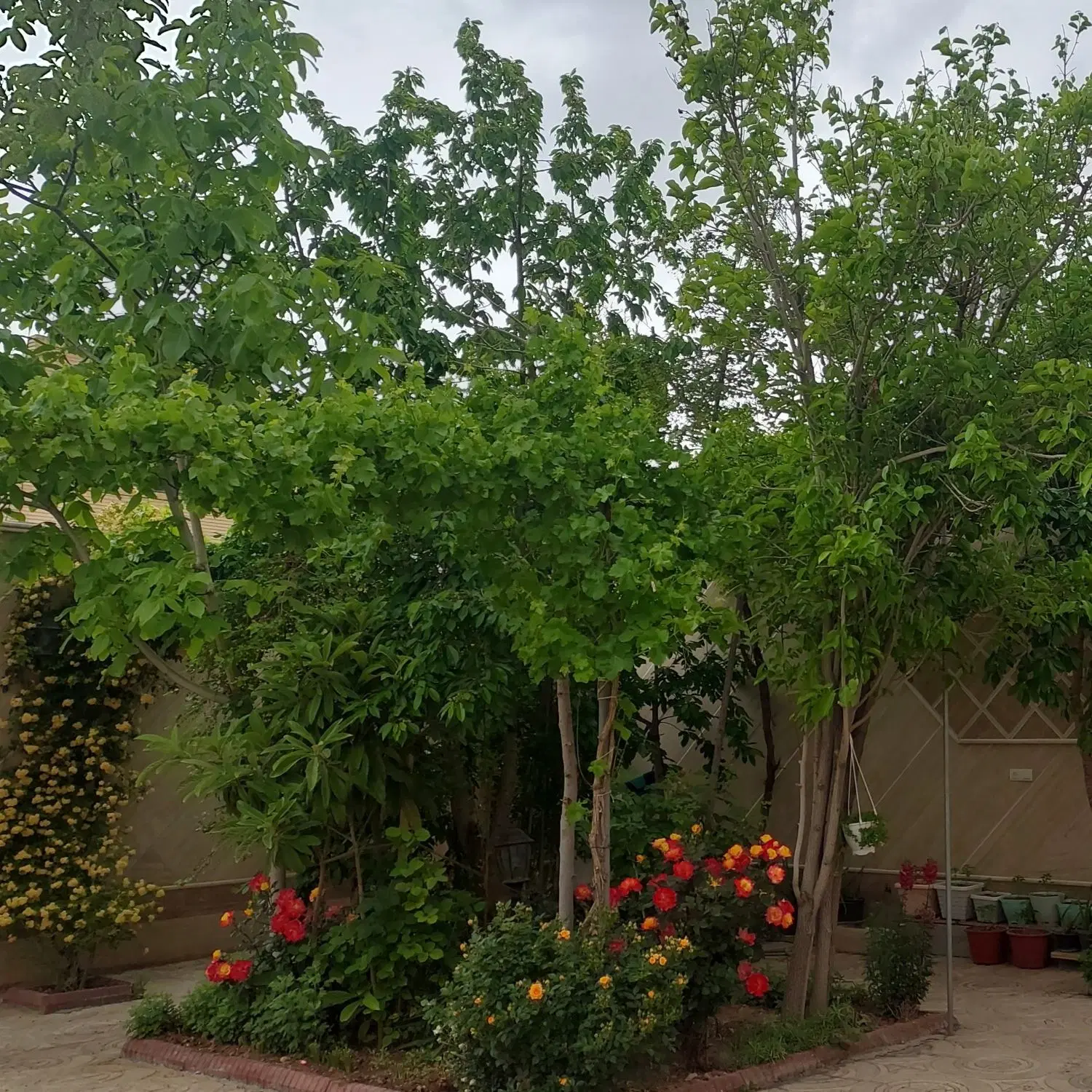 اجاره منزل ویلایی قدیمی