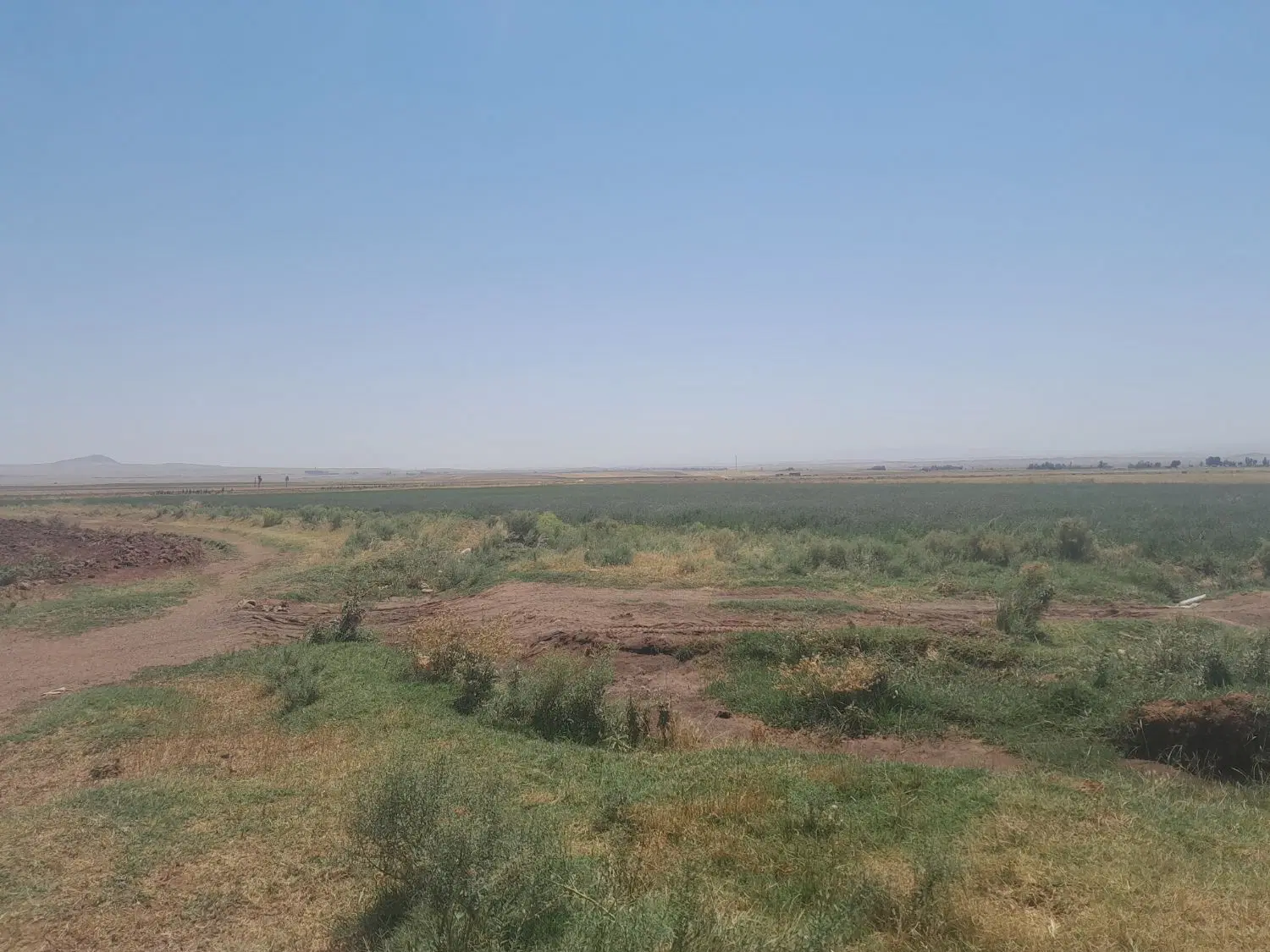 زمین کشاورزی بیلوردی با آب فراوان