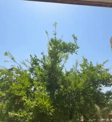 ویلایی ۲۶۰متری راستان ۵ بازسازی شده