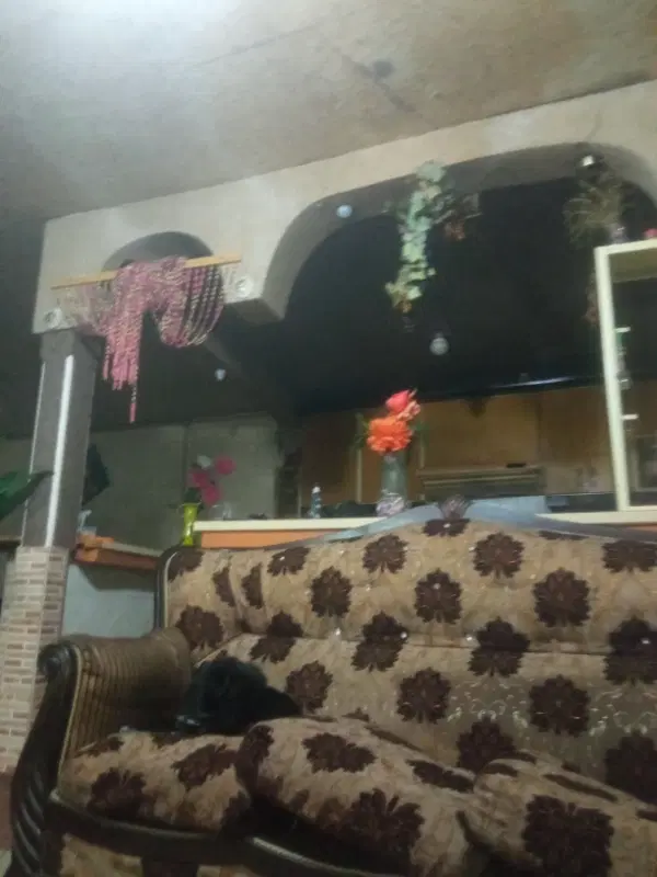 رهن اجاره
