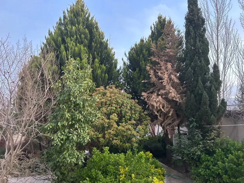 خونه باغ لنگر ماهان