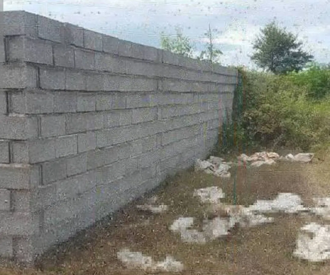 واگذاری مشارکتی یافروش طرح مرغداری