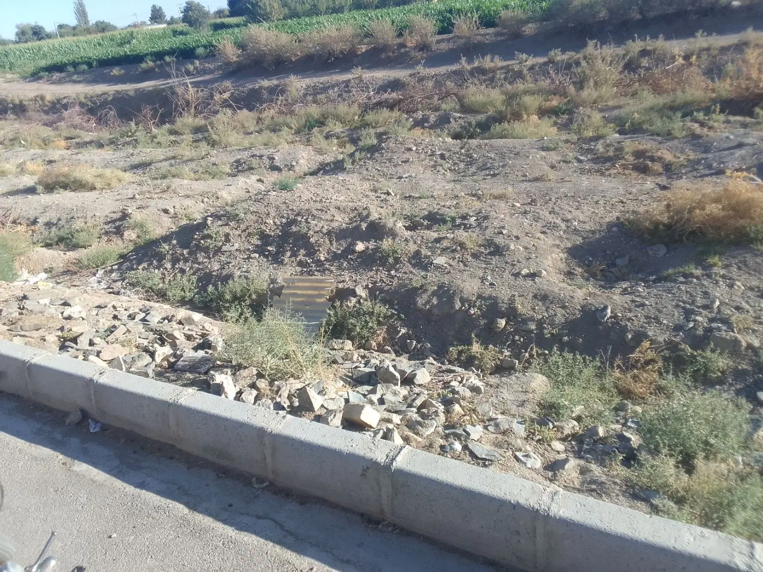 زمین کشاورزی